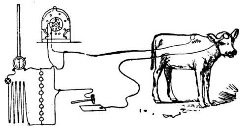 Calf_electrocution_brown_bizarre_extremem_science_museum_cooley_9