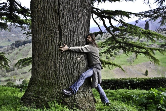 Tree-hugging-man-nature-connection-therapy-mental-health-sam-joe-cooley-samjoecooley-blog-clinical-psychology-sport-health-exereice-walking